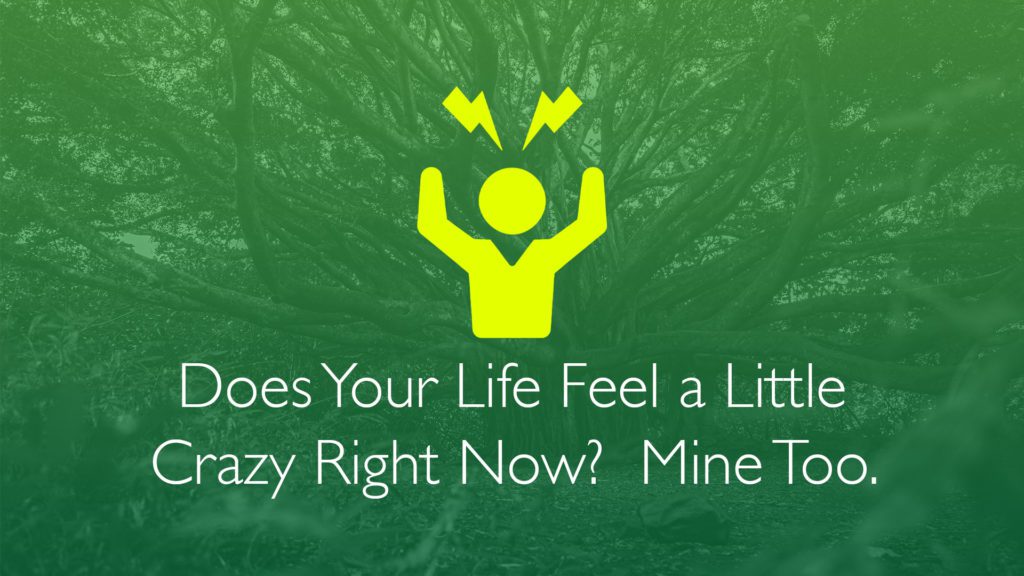 Does Your Life Feel a Little Crazy Right Now? Mine Too-Financial Symmetry, Inc.